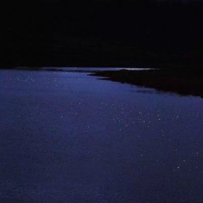 《微暗之火》制片人张书维：脚踏实地地完成一个诗意的项目